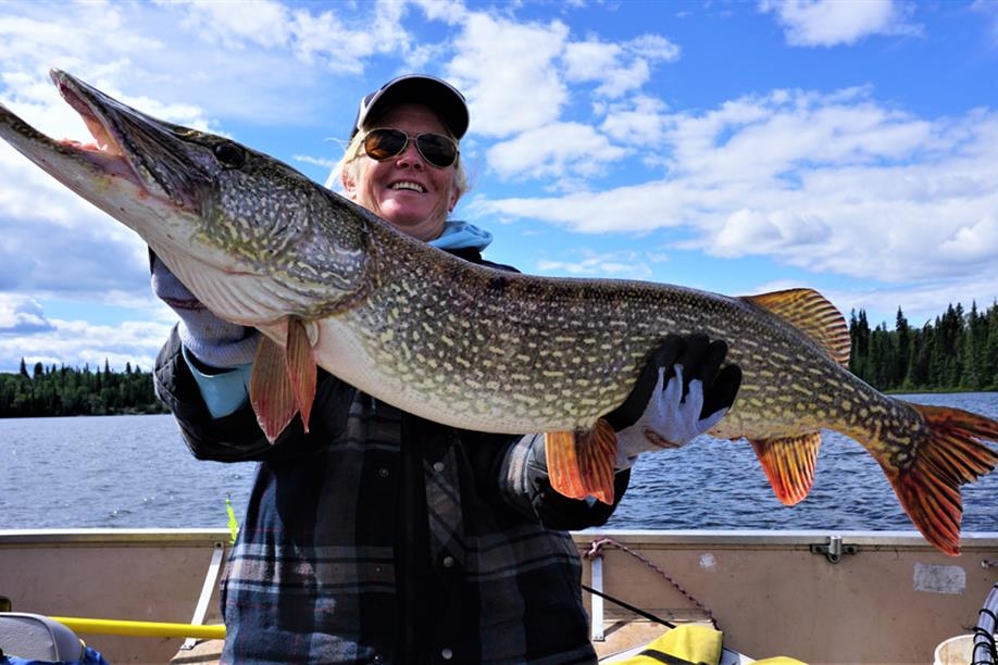 Northern Nights Outfitters