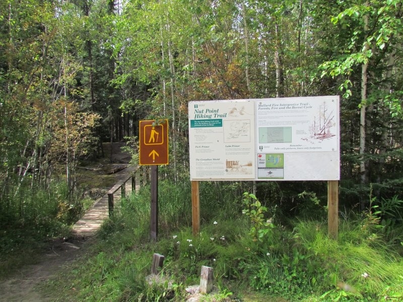Nut Point Trail