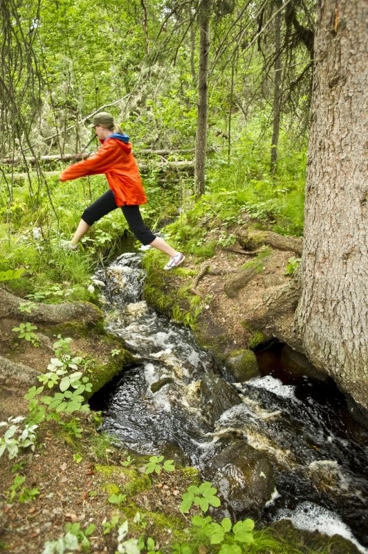La Ronge - Lac La Ronge Provincial Park and Area Trails