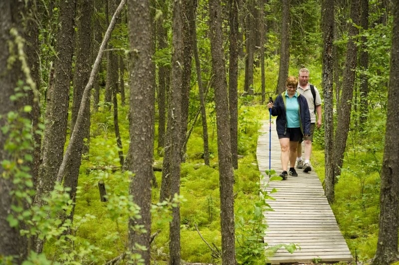 La Ronge - Lac La Ronge Provincial Park and Area Trails