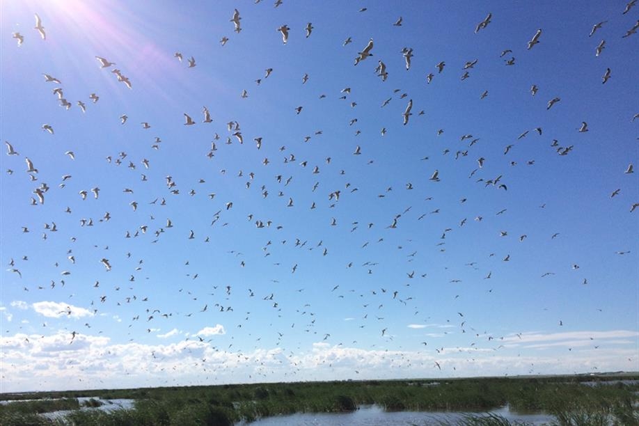 Old Wives Lake Nature Area and Interpretive Trails