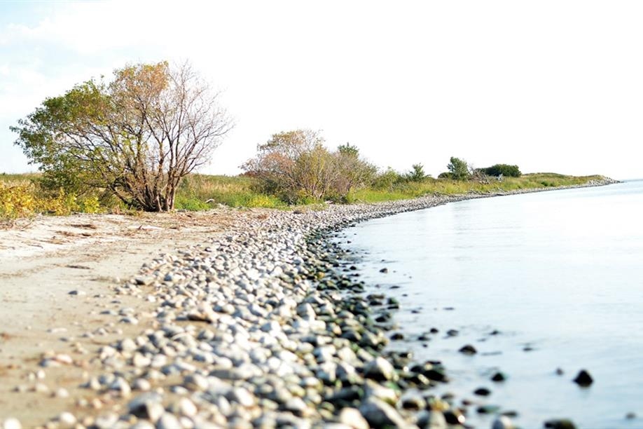 Old Wives Lake Nature Area and Interpretive Trails