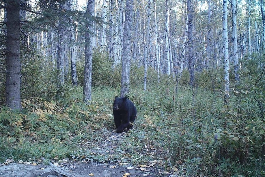 Otter Creek Outfitters