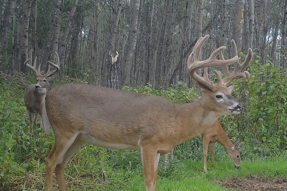 Otter Creek Outfitters