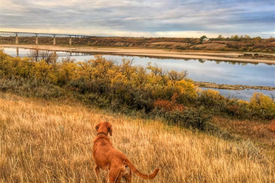 Outlook & District Regional Park