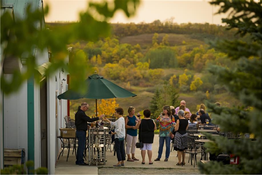 Over the Hill Orchards and Winery