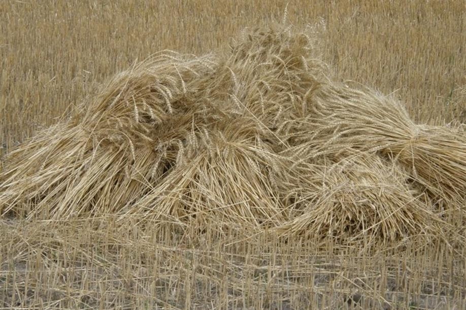 The Hepburn Museum of Wheat