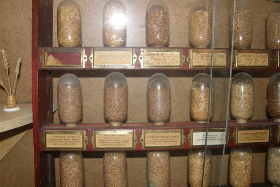 The Hepburn Museum of Wheat - Wheat