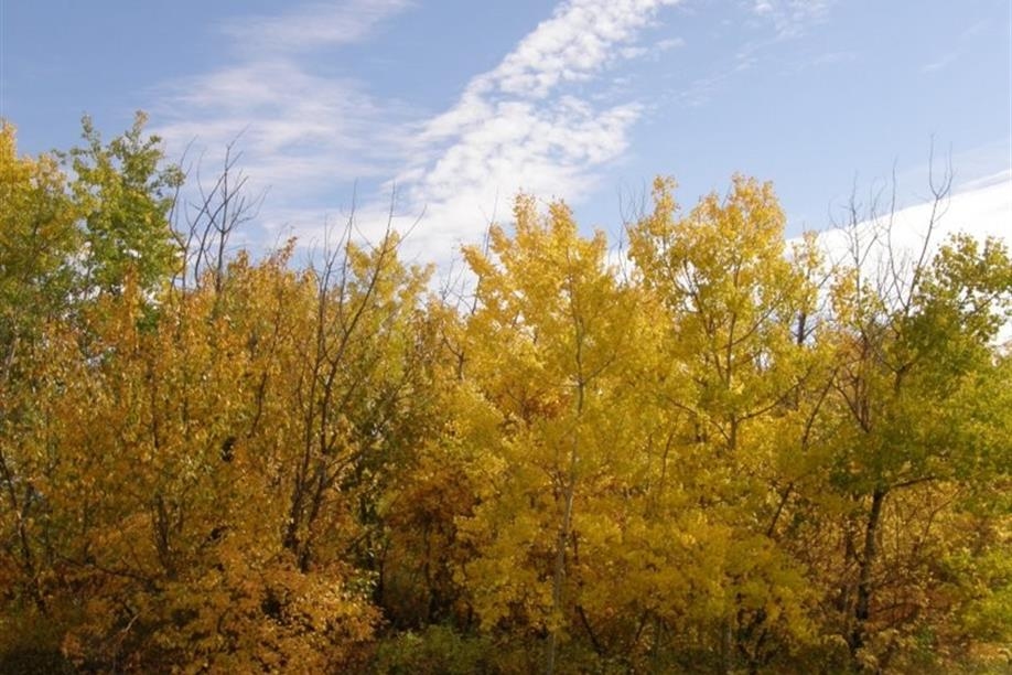 Redberry Lake Regional Park - Image: Kathy Rosenkranz