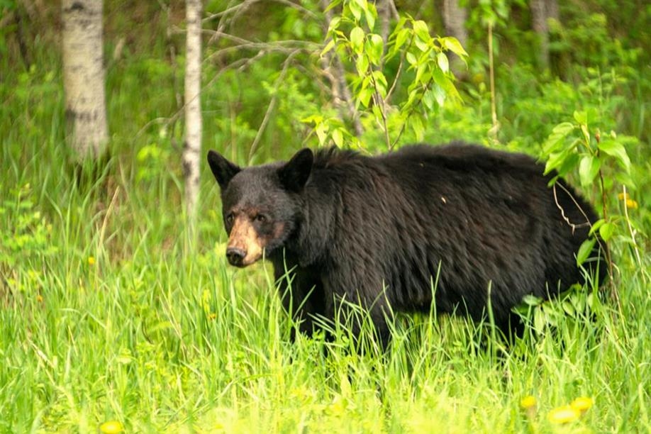 Prince Albert National Park Trails; Photo: Parks Canada