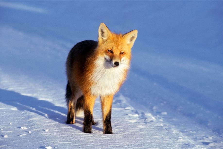 Prince Albert National Park; Photo: Wayne Lynch/Parks Canada