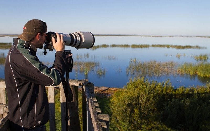 Quill Lakes International Bird Area