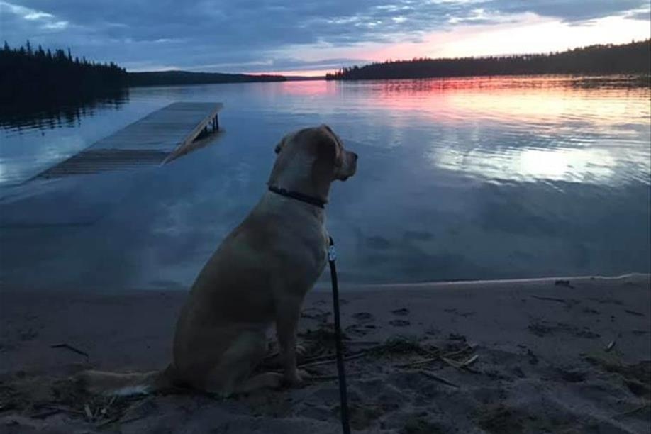 Pierceland Outfitters Ltd