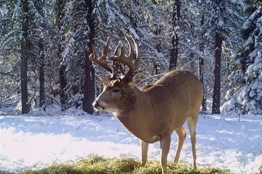 Pierceland Outfitters Ltd