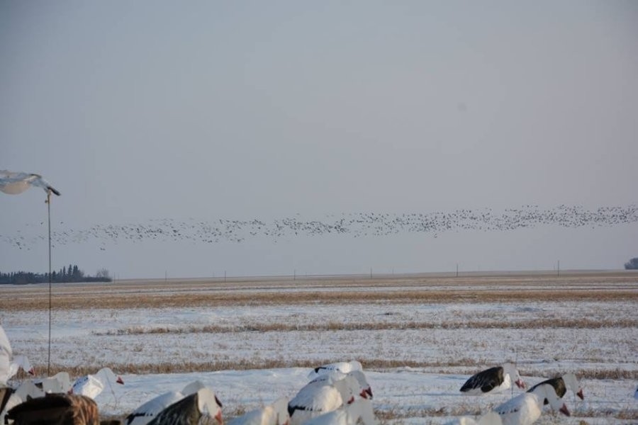 Pike Lake Outfitters Ltd