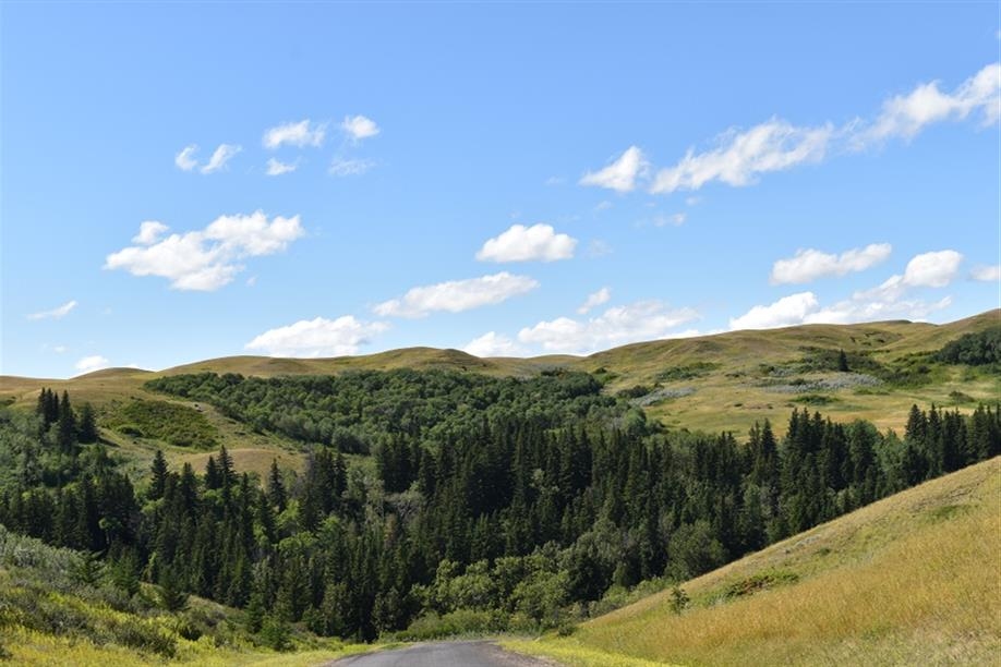 Pine Cree Regional Park