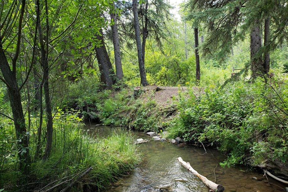 Pine Cree Regional Park
