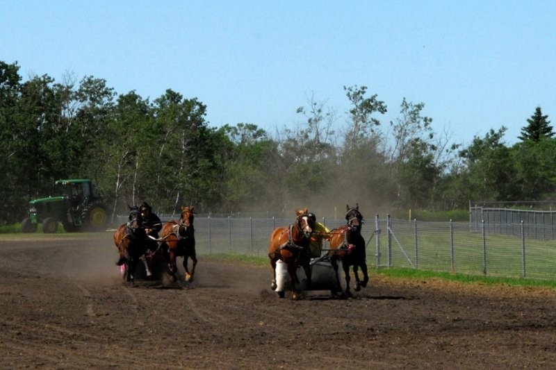 Preeceville - Horse Race