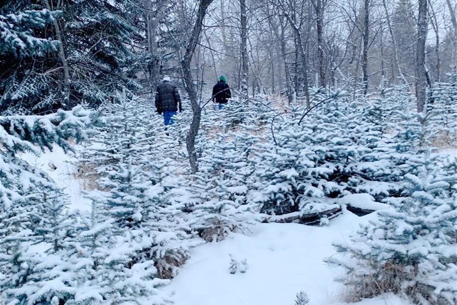 Richard St. Barbe Baker Afforestation Area; Phote: Julia Adamson