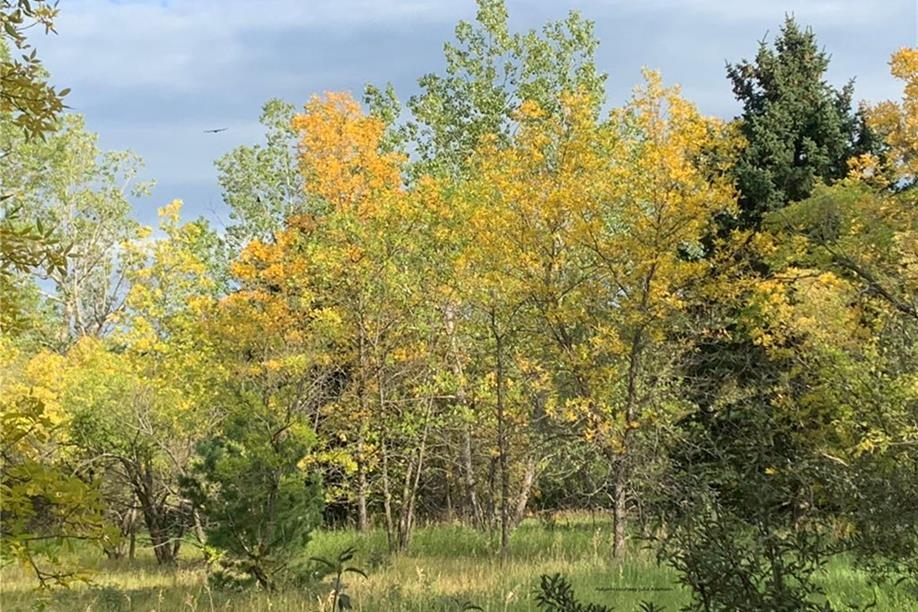 Richard St. Barbe Baker Afforestation Area