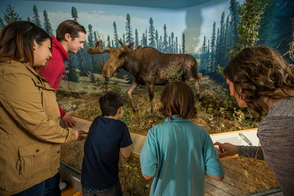 Royal Saskatchewan Museum
