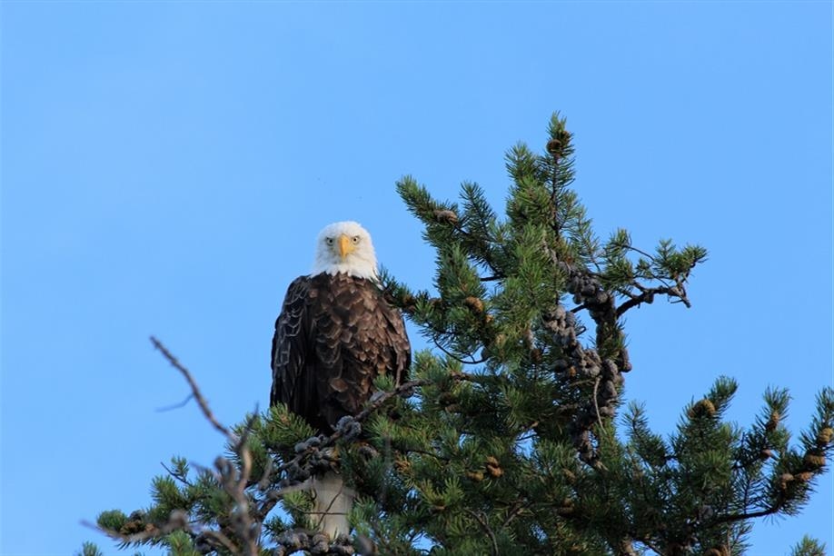 Reel North Outfitters