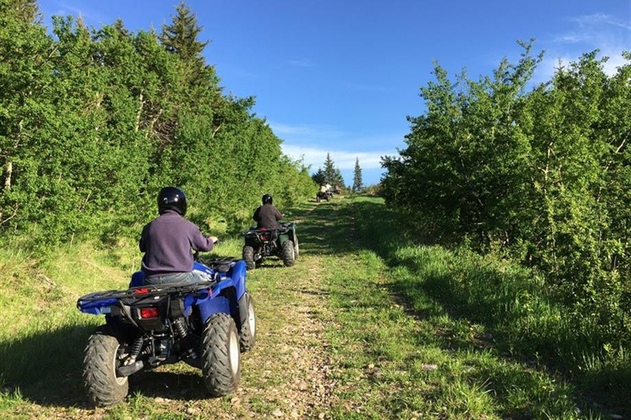 Historic Reesor Ranch