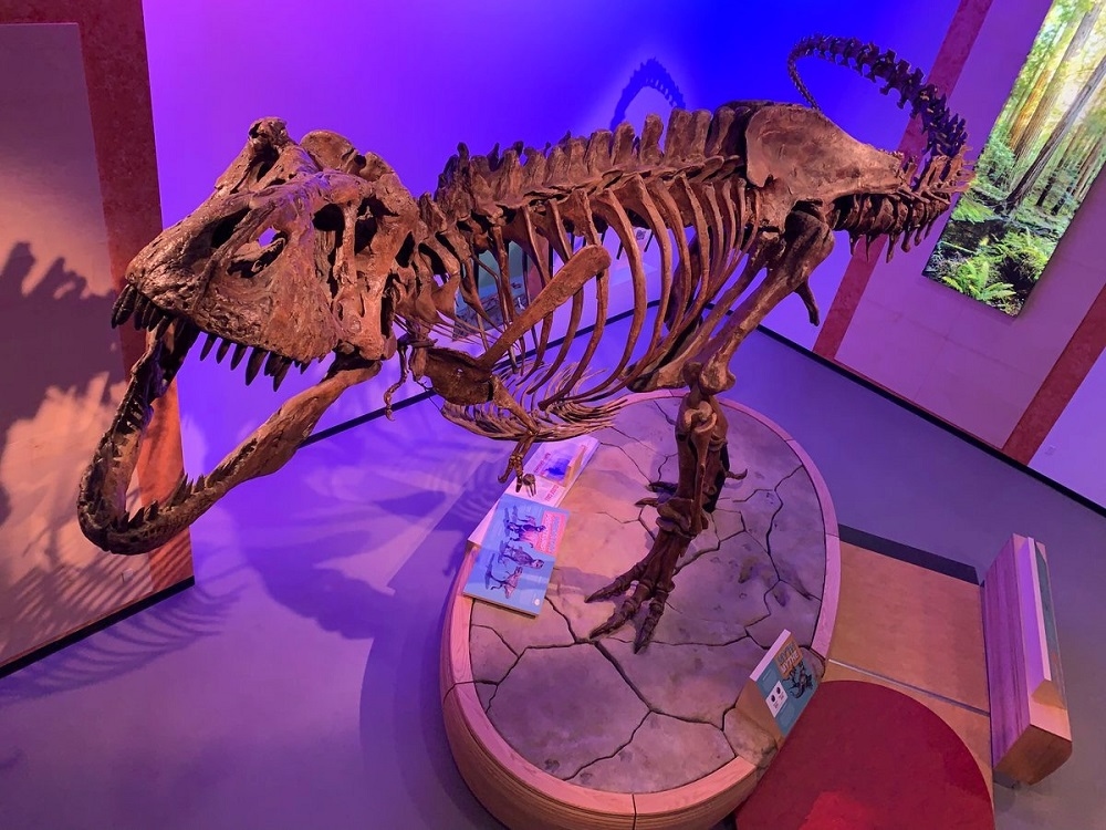 Royal Saskatchewan Museum