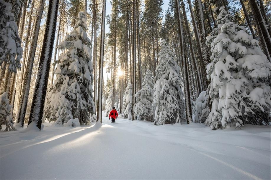 The Resort at Cypress Hills