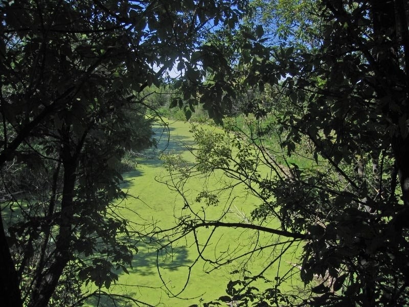 RiverPark Campground