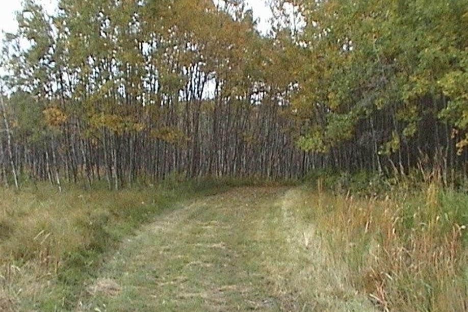 Neudorf Trails