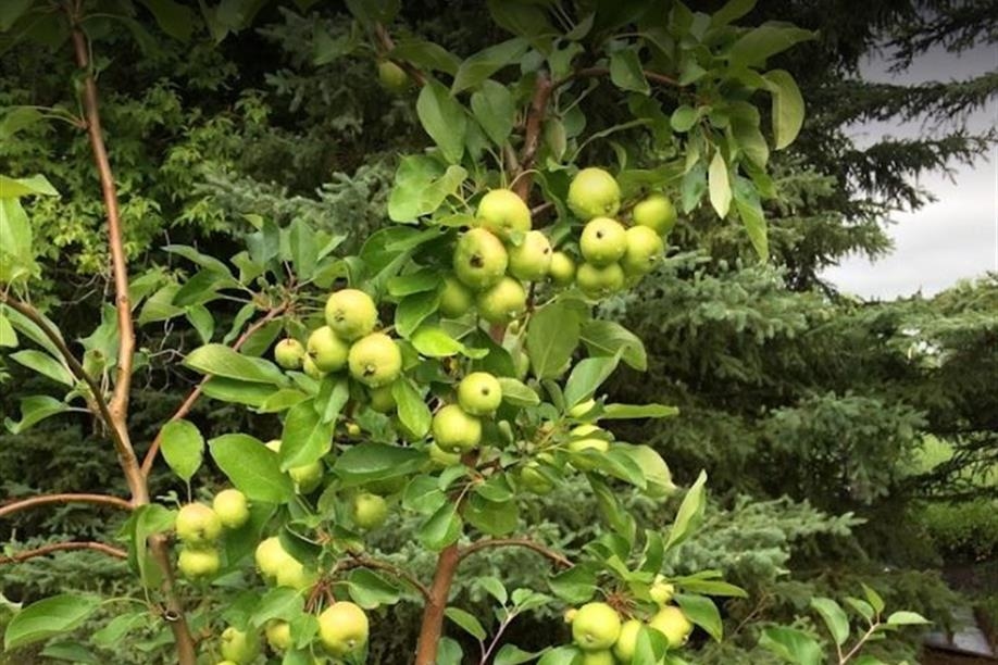 Saskatchewan Farmers' Market Co-op Ltd
