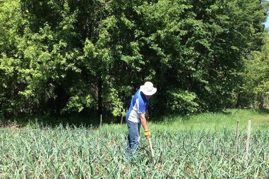 Saskatchewan Farmers' Market Co-op Ltd