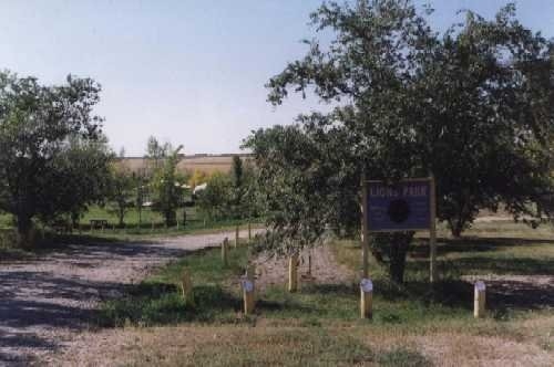 Southey - Lions Park