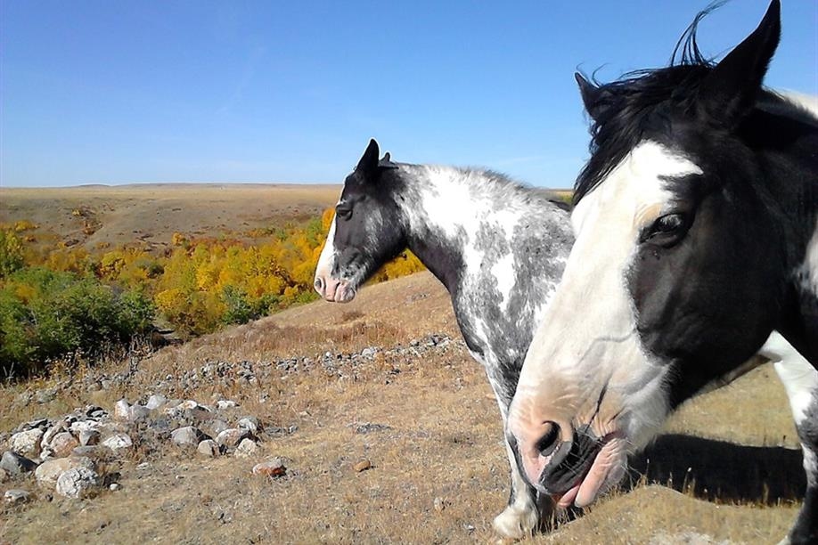 Spring Valley Guest Ranch