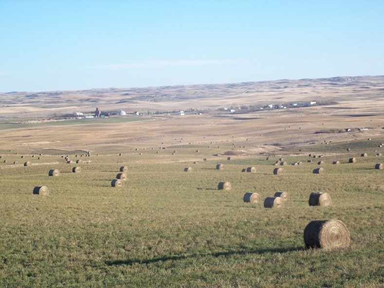 Rural Municipality of TERRELL 101