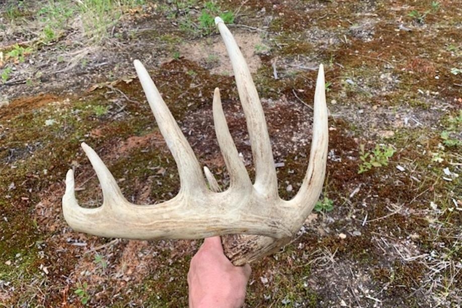 Stillar's Western Outfitters