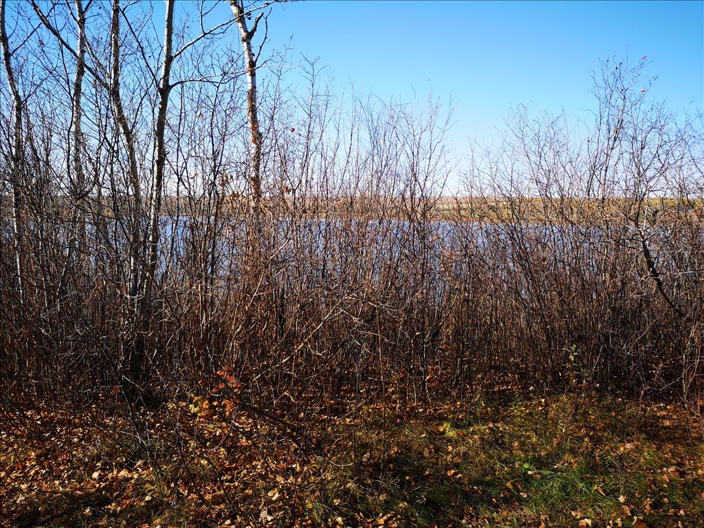 Struthers Lake Regional Park Trails