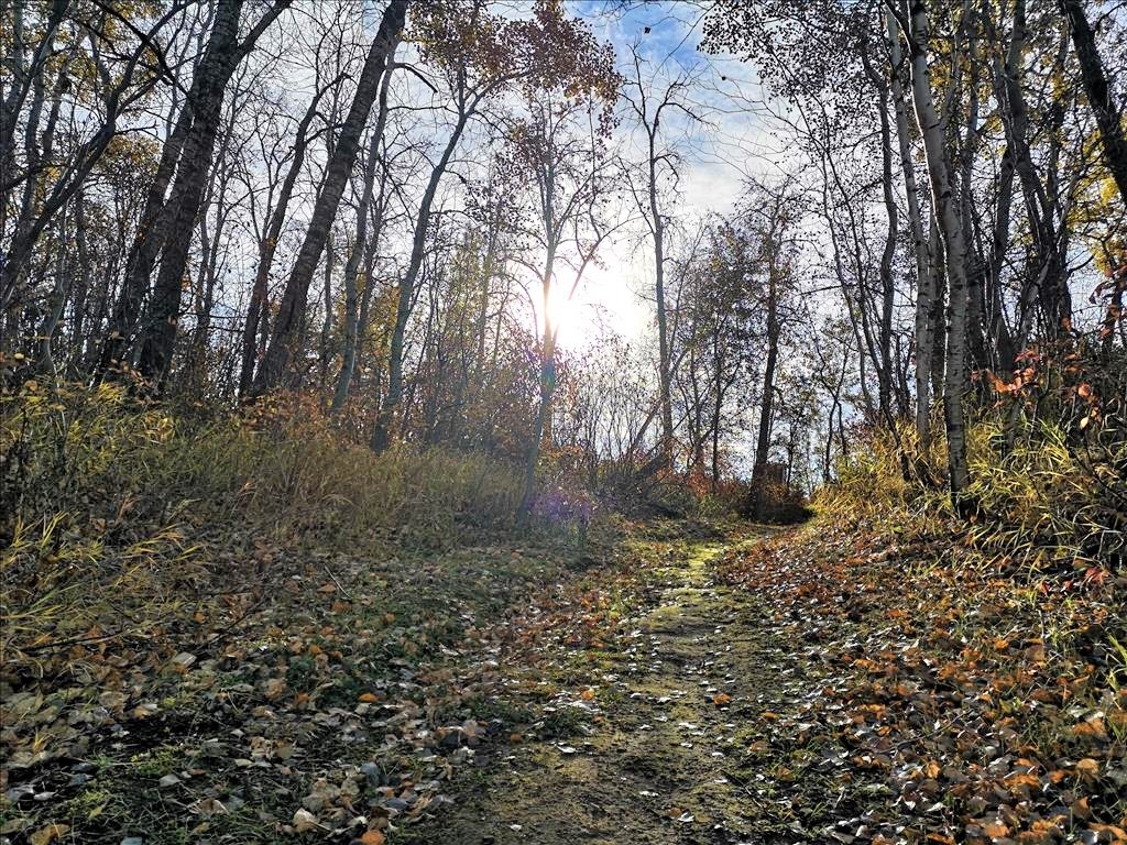 Struthers Lake Regional Park Trails
