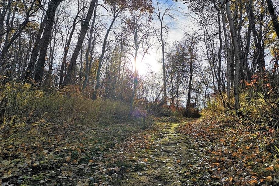 Struthers Lake Regional Park Trails
