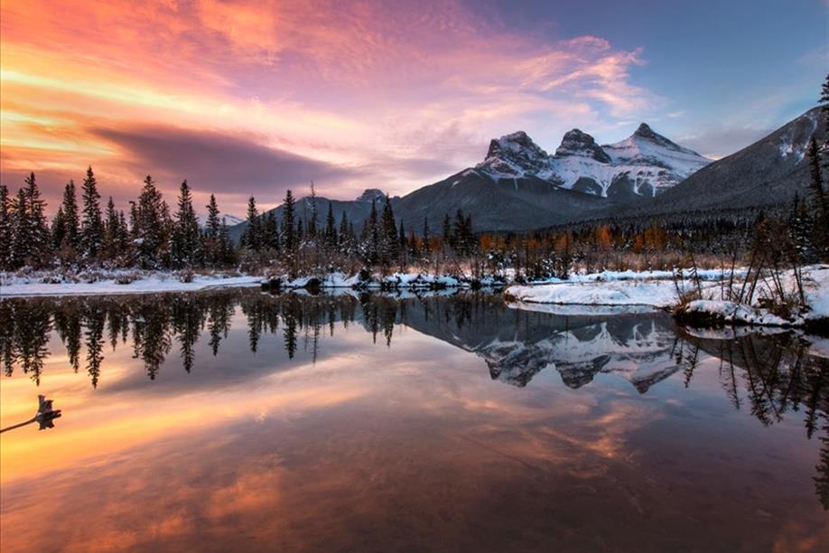 All in the Wild Gallery - The Guiding Sisters