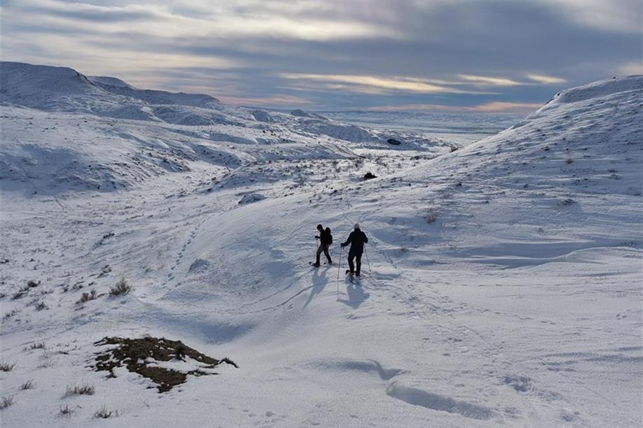 The Sanctuary Inn - Snowshoeing in Grasslands National Park