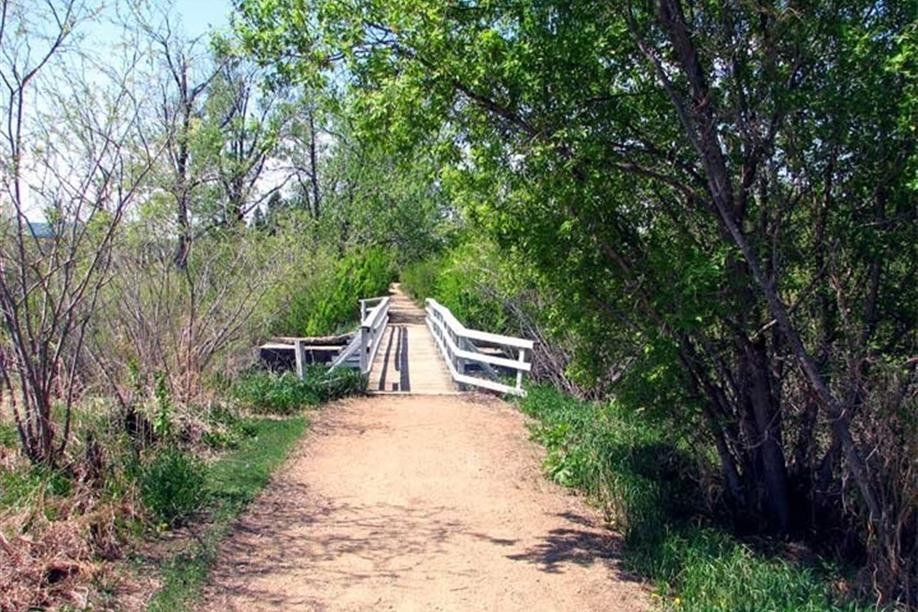 Tisdale - Doghide River Trail - Image: Ken Styan