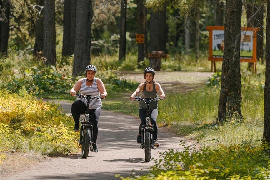 Treeosix Adventure Parks - Cypress Hills