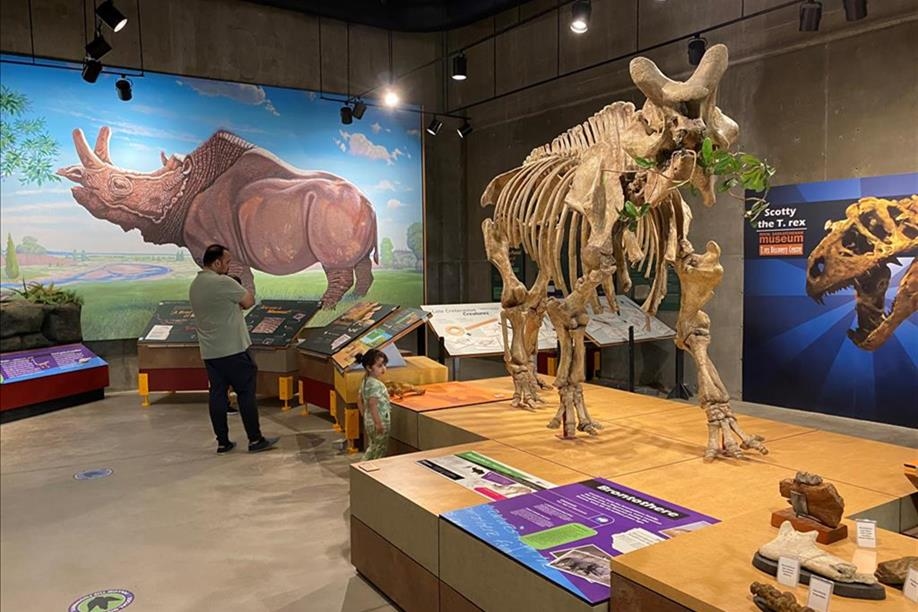 T.rex Discovery Centre