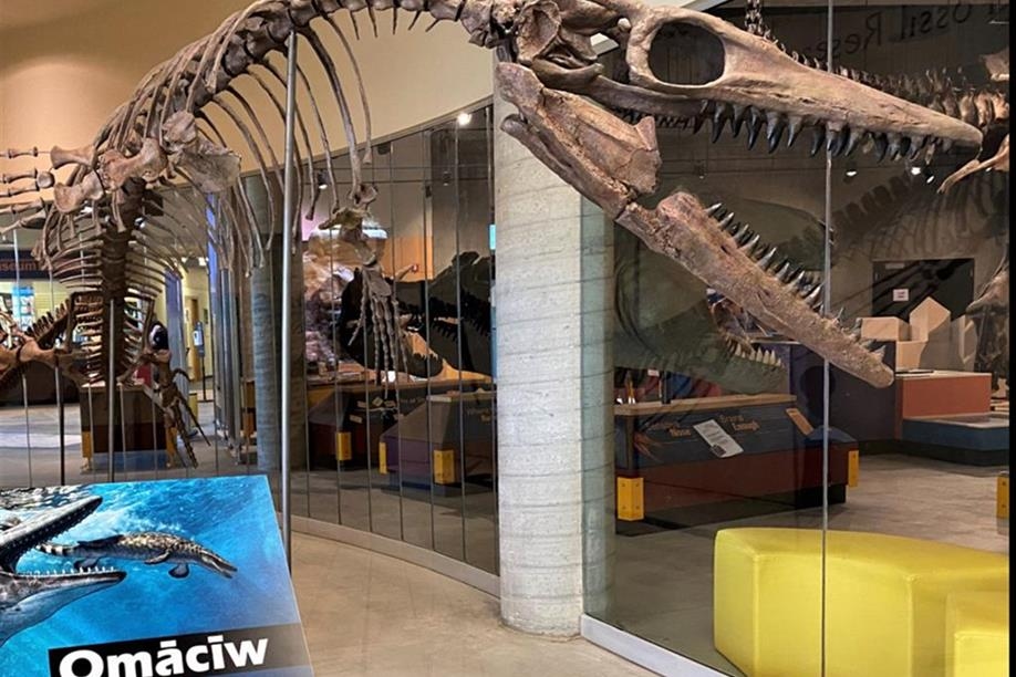 T.rex Discovery Centre