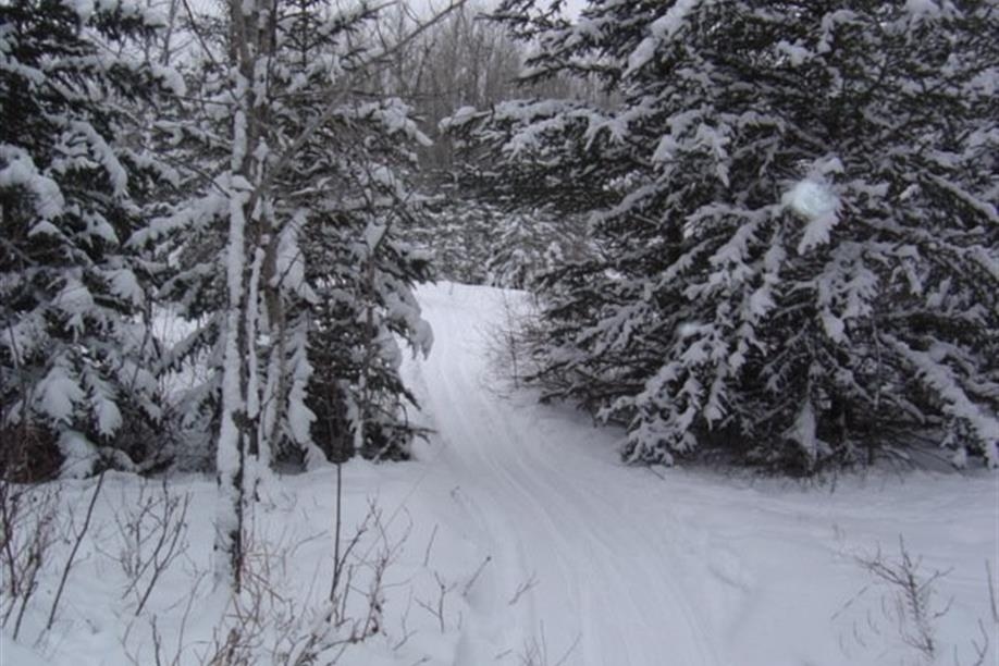 Turtle Lake Nature Sanctuary