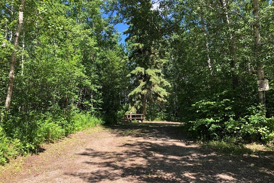 Turtle River Campground - Site 14