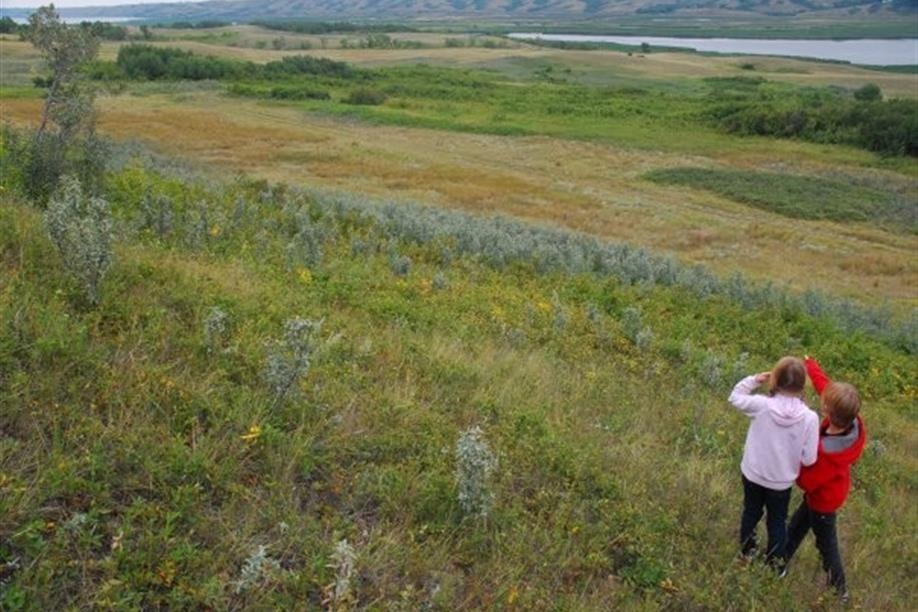 Valeport Wildlife Management Area Trails