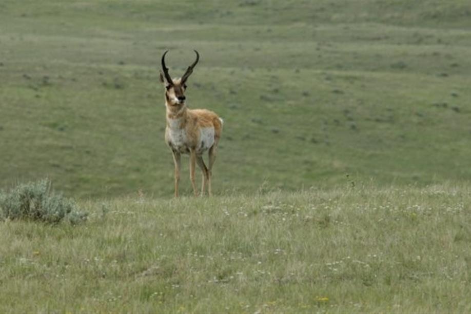 Valeport Wildlife Management Area Trails